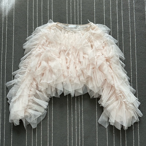 Altar'd State Tops - Altar’d State Tatiana Long Sleeve Ruffle Top